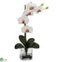 Silk Plants Direct Giant Phal Orchid - White - Pack of 1