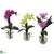 Silk Plants Direct Mixed Orchid - Assorted - Pack of 3
