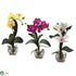 Silk Plants Direct Mixed Orchid - Assorted - Pack of 3
