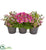Silk Plants Direct Triple Potted Daisy and Eucalyptus - Pack of 1