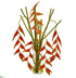 Silk Plants Direct Hanging Heliconia - Pack of 1