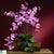 Silk Plants Direct Phalaenopsis Silk Orchid Flower - Mauve - Pack of 1