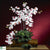 Silk Plants Direct Phalaenopsis Silk Orchid Flower - White - Pack of 1