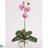 Silk Plants Direct Phalaenopsis Orchid - Purple - Pack of 6