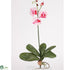 Silk Plants Direct Mini Phalaenopsis Silk Orchid Flower - Pink - Pack of 1