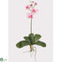 Silk Plants Direct Mini Phalaenopsis Silk Orchid Flower - White Pink - Pack of 1