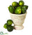 Silk Plants Direct Faux Limes - Pack of 1