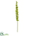Silk Plants Direct Bell of Ireland Artificial Flower - Pack of 3
