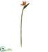 Silk Plants Direct Bird of Paradise Artificial Flower - Pack of 1