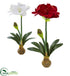 Silk Plants Direct Amaryllis Artificial Flower - Pack of 1