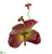 Silk Plants Direct Succulent Artificial Plant - Pack of 12