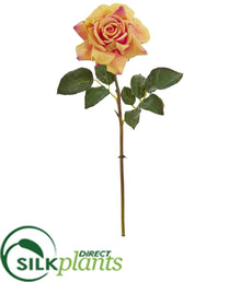 Silk Plants Direct Rose Artificial Flower - Cream - Pack of 6