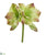 Silk Plants Direct Amaryllis Artificial Flower - Orange - Pack of 4
