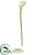 Silk Plants Direct Calla Lily Artificial Flower - White - Pack of 6