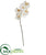 Silk Plants Direct Phalaenopsis Orchid Artificial Flower - White - Pack of 12