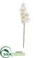 Silk Plants Direct Phalaenopsis Orchid Artificial Flower - White - Pack of 6