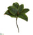 Silk Plants Direct Magnolia Leaf Artificial Flower - Green - Pack of 12