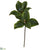 Silk Plants Direct Magnolia Artificial Leaf - Green - Pack of 6