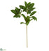 Silk Plants Direct Laurel Leaf Artificial Spray - Green - Pack of 6
