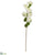 Silk Plants Direct Bougainvillea Artificial Flower - White - Pack of 4
