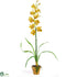 Silk Plants Direct Cymbidium Orchid - Yellow - Pack of 1