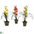 Silk Plants Direct Cymbidium Orchid - Assorted - Pack of 3