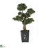 Silk Plants Direct Cedar Bonsai - Green - Pack of 1