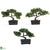 Silk Plants Direct Bonsai Collection - Green - Pack of 3