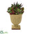 Silk Plants Direct Mixed Succulent Artificial Plant - Pack of 1