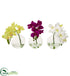 Silk Plants Direct Phalaenopsis Orchid - Pack of 1