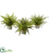Silk Plants Direct Assorted Ferns - Pack of 1