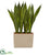 Silk Plants Direct Sansevieria Artificial Plant - Pack of 1