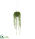 Silk Plants Direct String of Pearl Artificial Plant Hanging Basket - Pack of 1