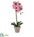 Silk Plants Direct Designer Phalaenopsis Orchid - Pack of 1