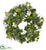 Silk Plants Direct Variegated Sage Ivy and Stephanotis Artificial Wreath - Pack of 1