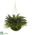 Silk Plants Direct Cycas Artificial Plant - Pack of 1