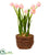 Silk Plants Direct Tulip - Pack of 1