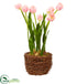 Silk Plants Direct Tulip - Pack of 1