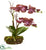 Silk Plants Direct Chocolate Phalaenopsis Orchid - Pack of 1