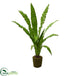 Silk Plants Direct Birdsnest Artificial Plant - Pack of 1