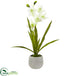 Silk Plants Direct Cymbidium Orchid - Pack of 1