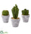 Silk Plants Direct Cactus Artificial Plant - Pack of 1