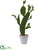 Silk Plants Direct Cactus Artificial Plant - Pack of 1