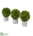 Silk Plants Direct Boxwood Artificial Mini Topiary - Pack of 1
