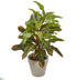 Silk Plants Direct Croton Artificial Plant - Pack of 1