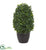 Silk Plants Direct Boxwood Topiary Artificial Plant - Pack of 1