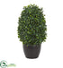 Silk Plants Direct Boxwood Topiary Artificial Plant - Pack of 1