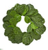 Silk Plants Direct Fiddle Leaf Artificial Wreath - Pack of 1