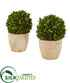 Silk Plants Direct Boxwood Ball Preserved Plant in Planter - Pack of 2