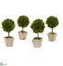 Silk Plants Direct Boxwood Topiary Preserved Plant in Ceramic Planter - Pack of 4